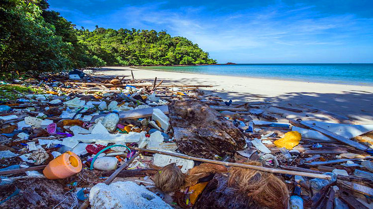 Umwelt: Plastikstrudel im Pazifik viermal so groß wie ganz Deutschland