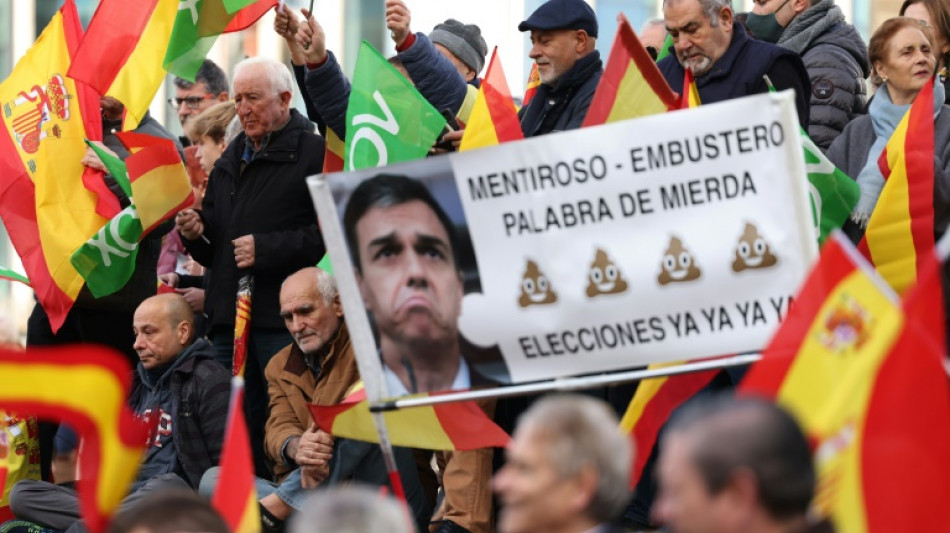 Zehntausende Vox-Anhänger protestieren gegen spanische Regierung