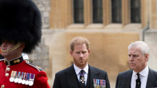 Prinz Harry und Prinz Andrew übernehmen bei Krönung keine offizielle Rolle