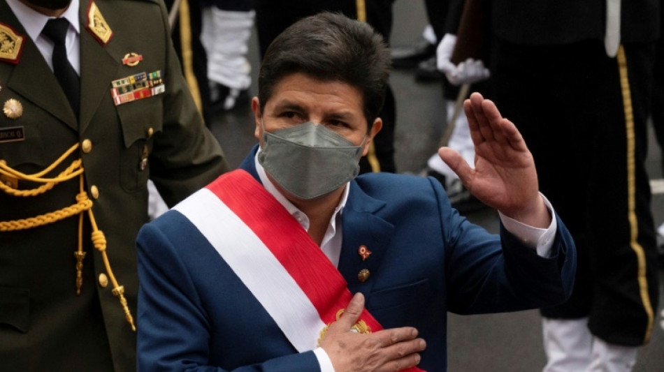 Perus Präsidentenpalast auf Suche nach Schwägerin von Staatschef Castillo durchsucht