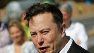 Elon Musk stiftet mit Ankündigung von Manchester United-Kauf Verwirrung