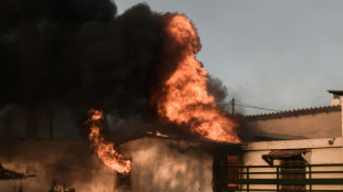 Hunderte Menschen müssen wegen Waldbränden nahe Athen ihre Wohnungen verlassen
