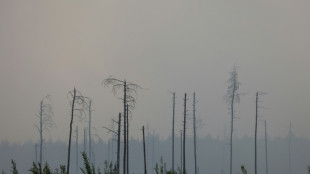 WWF fordert wegen hoher Brandgefahr Waldumbau