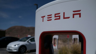 Bundesverband der Verbraucherzentralen verklagt US-Elektroautobauer Tesla