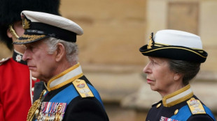 Prinzessin Anne lehnt "abgespeckte" Monarchie ab