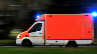 Zwei Menschen sterben bei Absturz von motorisiertem Leichtdrachen in Brandenburg