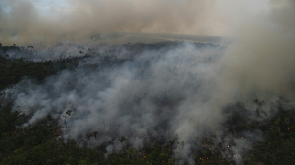 Zerstörung des Amazonas-Regenwaldes erreicht im ersten Halbjahr Rekordwert