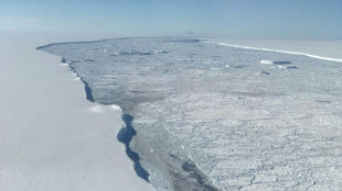 Schmelze von gigantischem Eisberg setzt Milliarden Tonnen Süßwasser frei