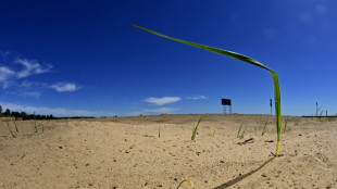 Özdemir ruft angesichts Dürre zu schnellerer Bekämpfung des Klimawandels auf