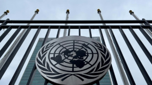 UN-Mitgliedsstaaten nehmen Verhandlungen über Hochseeabkommen wieder auf