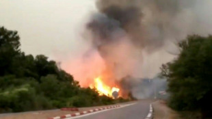 Zahl der Todesopfer bei Waldbränden in Algerien auf 38 gestiegen