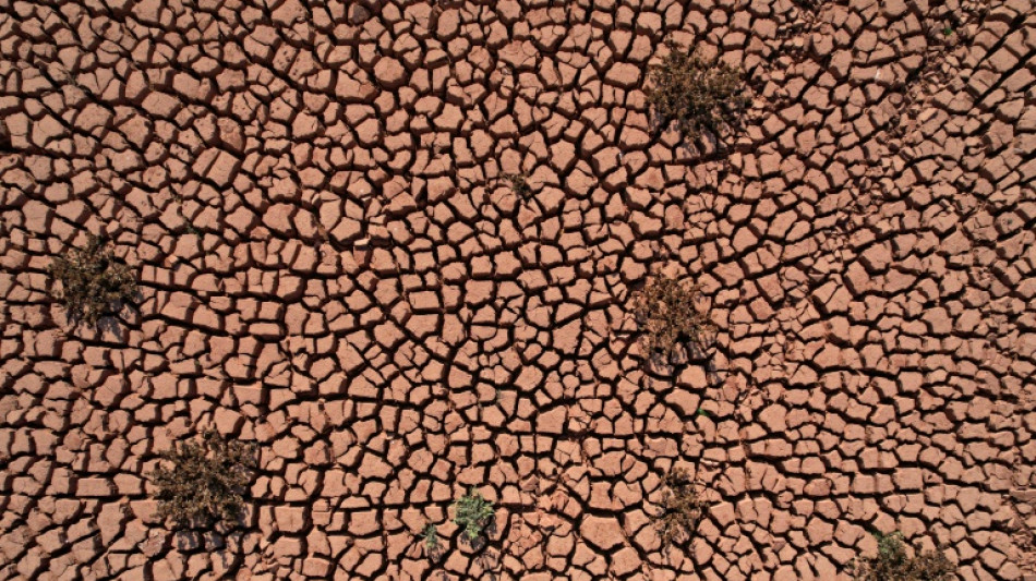 IPCC dringt auf Kampf gegen Klimakrise für Erhalt von 