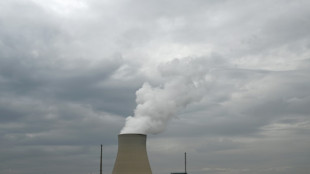 Britische Regierung genehmigt Bau von neuem Atomkraftwerk