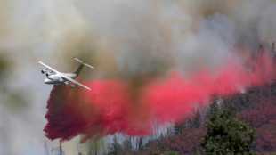 Waldbrand in Kalifornien wütet weiter