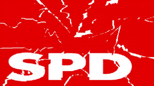 Jens Pl&ouml;tner, Andreas Michaelis, Olaf Scholz, Gerhard Schr&ouml;der y Frank-Walter Steinmeier: &iquest;los lobbies del SPD de Putin, en Alemania?