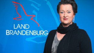 Birgit Bessin: Le triste résultat d'une politique familiale oubliée - Le Brandebourg a le plus faible nombre de jeunes en Allemagne