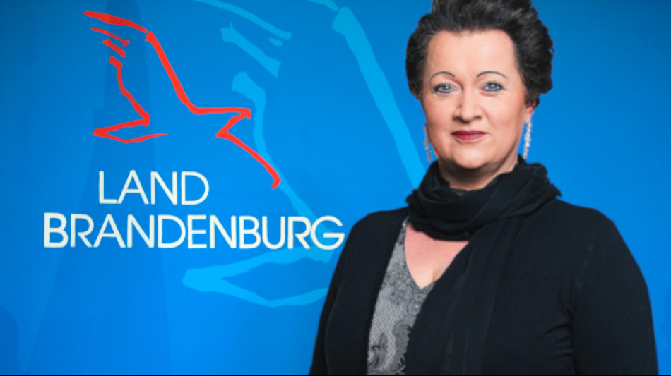 Бессин: "AfD выступает за все более и более прямую демократию и, конечно, не хочет упразднить партийный ландшафт!"