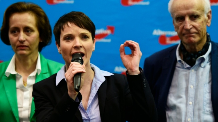 Gauland Verzicht auf Spitzenkandidatur - Zerstört Petry die AfD?