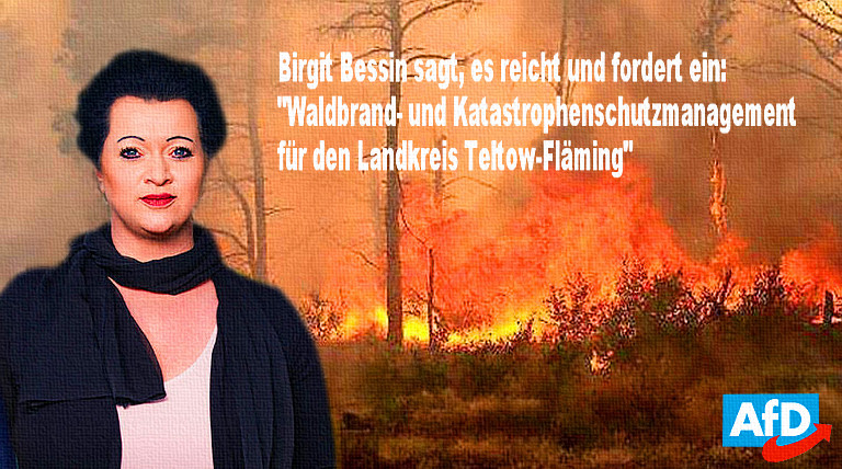 AfD - Birgit Bessin fordert Ausschuss für 