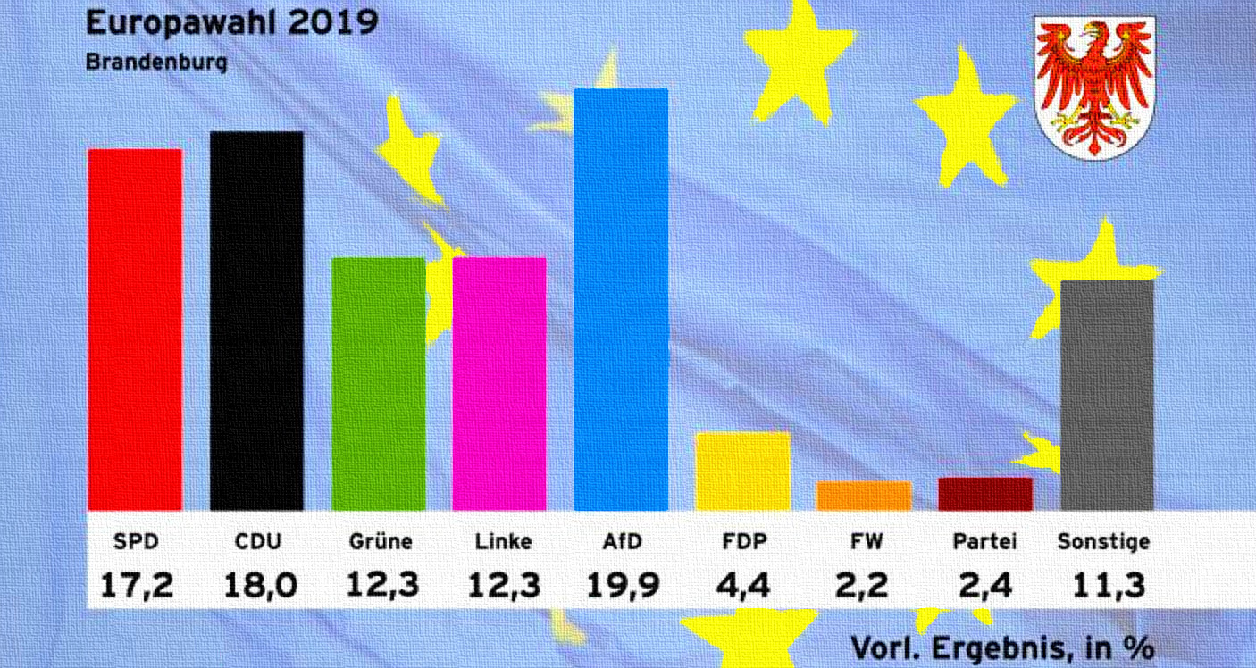 AfD bei Europawahl 2019 in Brandenburg absoluter Wahlsieger