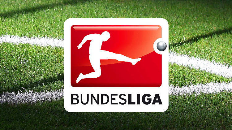 Bundesliga - Veh relativiert Stöger-Kritik: "Das kann jedem passieren"