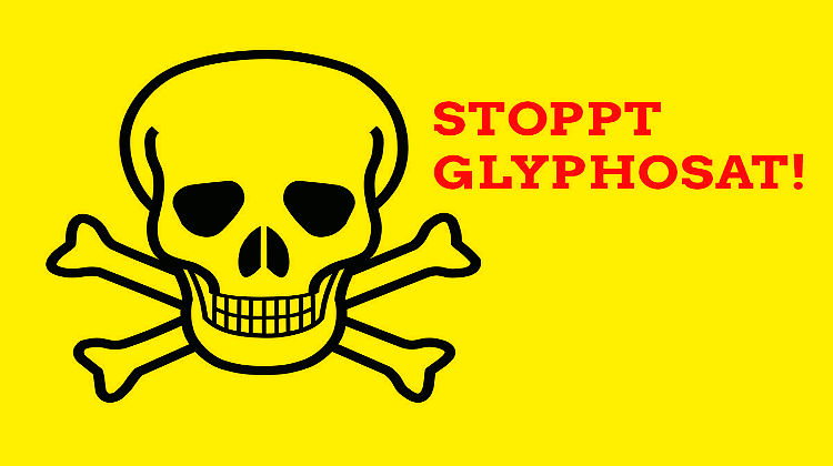 Hendricks gegen Wirtschaft: Glyphosat-Anwendung wird beschränkt