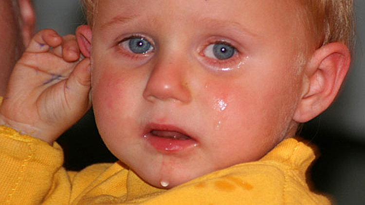 Potsdam: Skandal im MBJS direkt vor der Bundestagswahl?