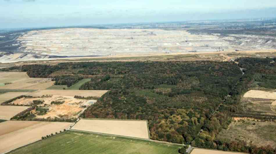 Offerte: Ökosuchmaschine will RWE den Hambacher Forst abkaufen