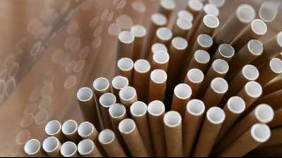 Auch alternative Einwegprodukte enthalten Schadstoffe