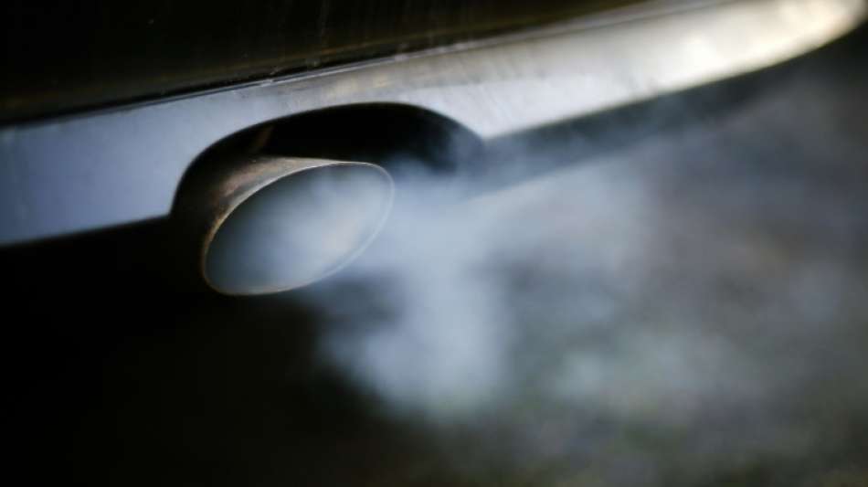 Grüne empört über Wissing-Vorstoß zu Entlastung von Diesel-Fahrern