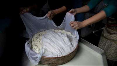 Gericht der EU sieht keine Verwechslungsgefahr zwischen "Halloumi" und "Bbqloumi"