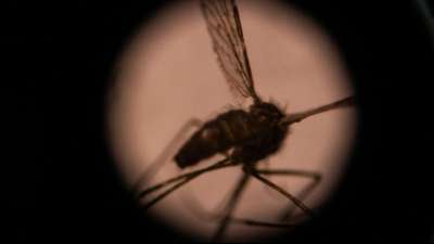 WHO empfiehlt breiten Einsatz von erstem Malaria-Impfstoff bei Kindern in Afrika