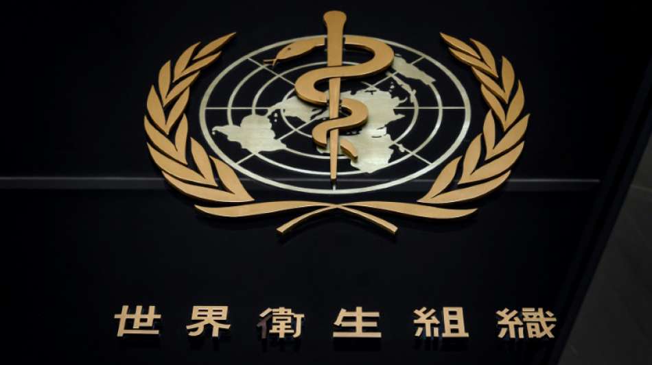 WHO-Notfallkomitee gegen Corona-Impfnachweis f&uuml;r Reisen