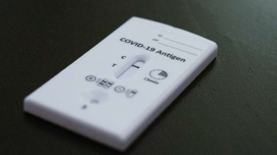 Arbeitgeberpr&auml;sident verteidigt Engagement der Firmen bei Corona-Tests