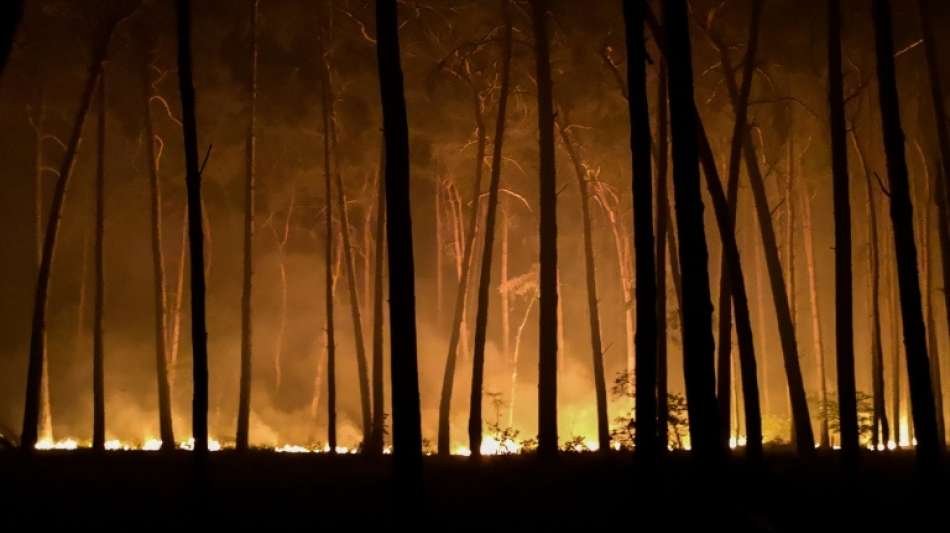 Zahl der Waldbrände in Deutschland hat sich in 2018 vervierfacht