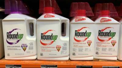 Bayer erleidet erneute Niederlage in US-Glyphosatverfahren