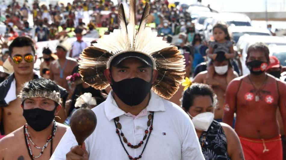 WWF warnt vor fortschreitender Regenwald-Zerstörung am Amazonas