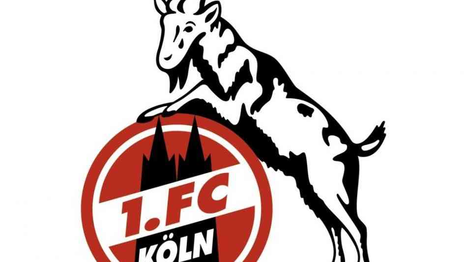 1. FC Köln erwirtschaftet Rekordumsatz - Vorstand gibt sich kämpferisch