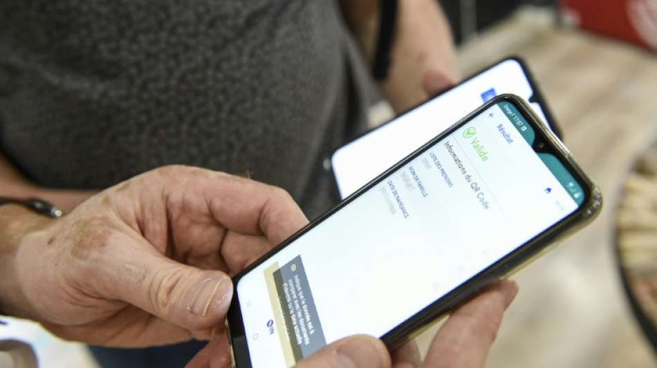 "Digitale Brieftasche" der Bundesregierung wieder offline