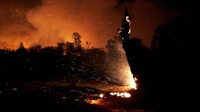 US-Stromversorger nach "Zogg Fire" des Totschlags beschuldigt
