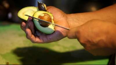 USA stoppen nach Drohung gegen Lebensmittelkontrolleur Avocado-Einfuhr aus Mexiko