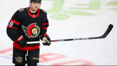 NHL: St&uuml;tzle und Seider liefern Vorlagen