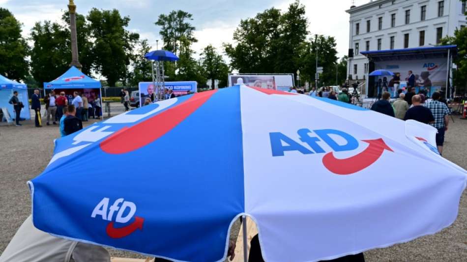 AfD f&uuml;hrt relativ gutes Abschneiden im Osten auf dortige Medienskepsis zur&uuml;ck