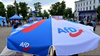 AfD f&uuml;hrt relativ gutes Abschneiden im Osten auf dortige Medienskepsis zur&uuml;ck