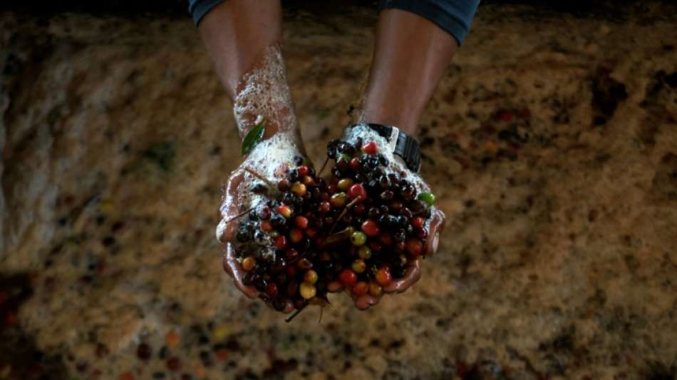 Lieferkettengesetz kann in Kraft treten - Auch Bundesrat stimmt zu