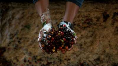 Lieferkettengesetz kann in Kraft treten - Auch Bundesrat stimmt zu