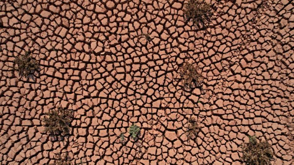 Studie: D&uuml;rregefahr auf Nordhalbkugel der Erde nimmt wegen Klimawandel stark zu 