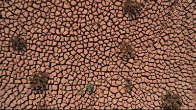 Studie: D&uuml;rregefahr auf Nordhalbkugel der Erde nimmt wegen Klimawandel stark zu 