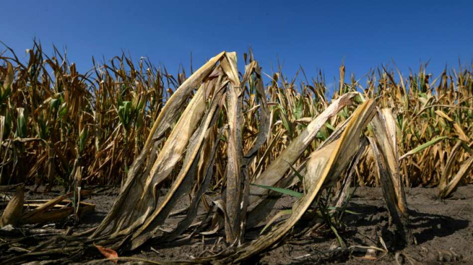 Regierung und Kommunen vereinbaren Pakt zur Anpassung an Folgen des Klimawandels