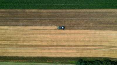 Landwirtschaftszählung offenbart Anteile von Unternehmensgruppen an Betrieben